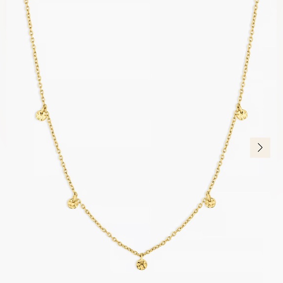 Gorjana Jewelry - ✨GORJANA 👑💛5 Disk Choker⭐️